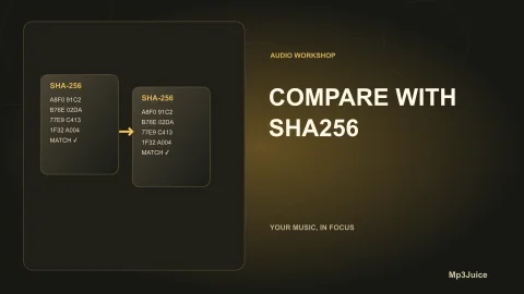 Compare Music File Copies with SHA-256