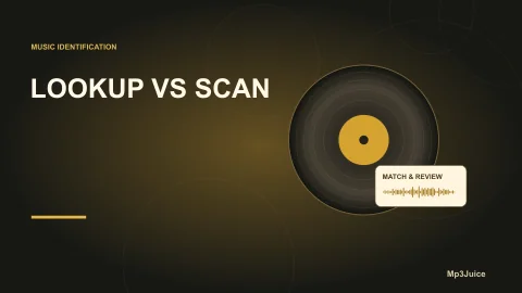 MusicBrainz Picard: Lookup or Scan?