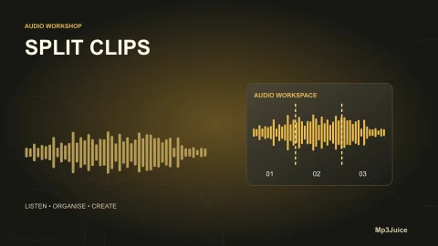 Split a Song Clip in Audacity 4