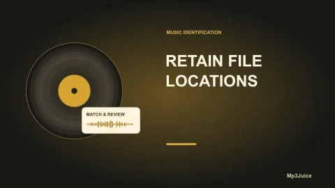 Keep File Locations Unchanged in MusicBrainz Picard