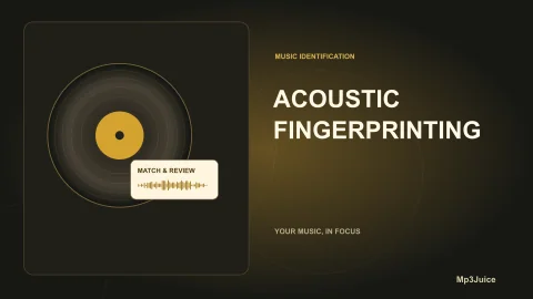 What an Acoustic Fingerprint Identifies in Music